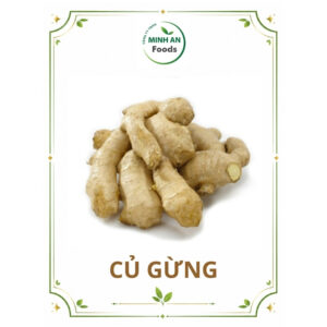 CỦ GỪNG